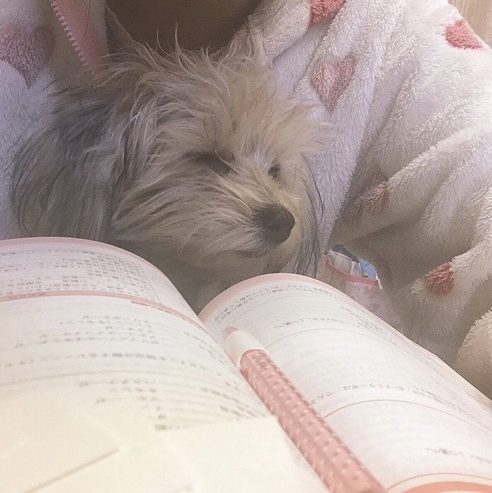 調理師の国家試験対策をサポートします 仕事と勉強の両立で効率良く勉強したい方へ イメージ1