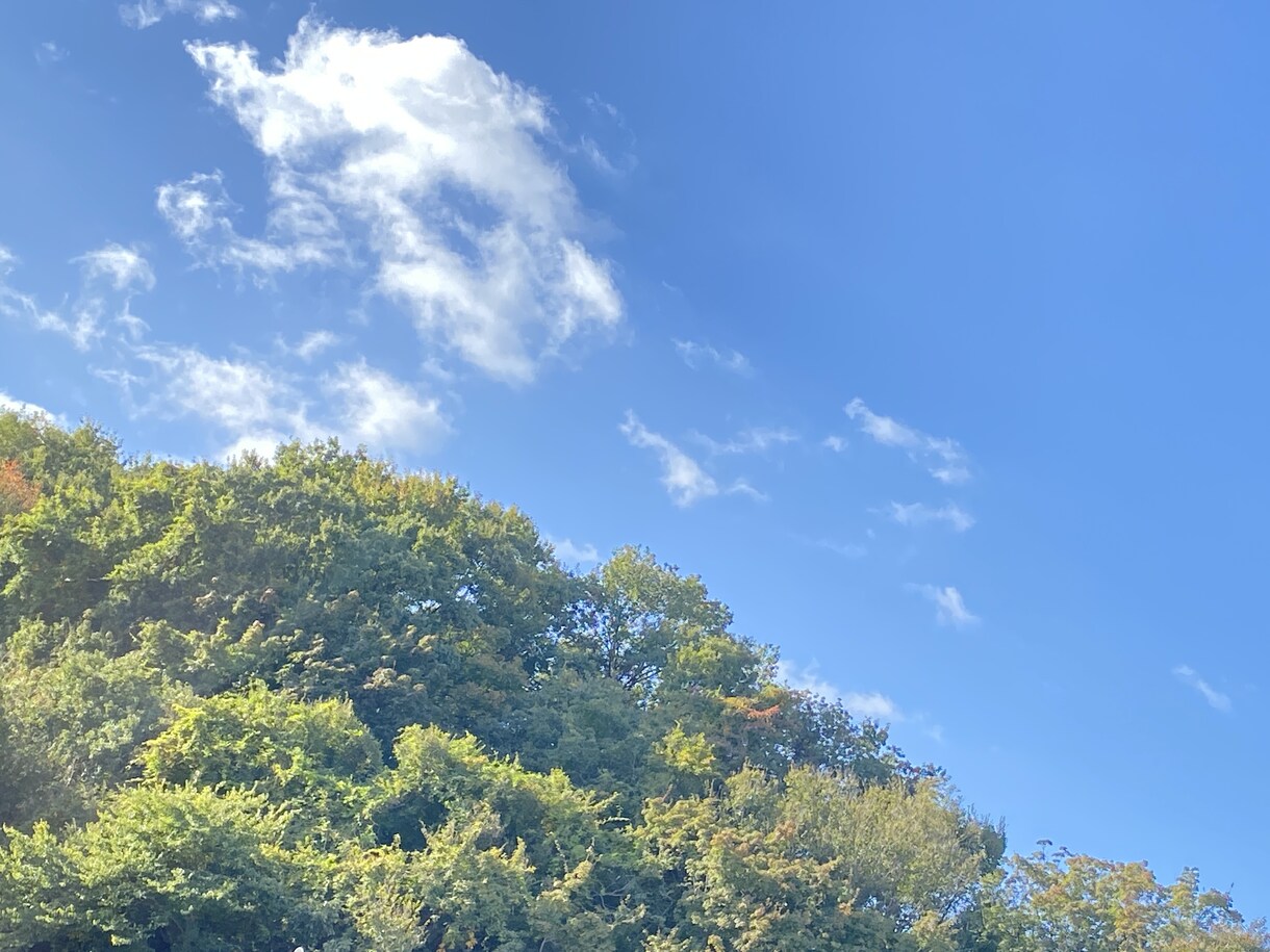 あなたの、なりたい‼️応援します なりたい自分がいるのに、動けない。そんなモヤモヤ解決します！ イメージ1