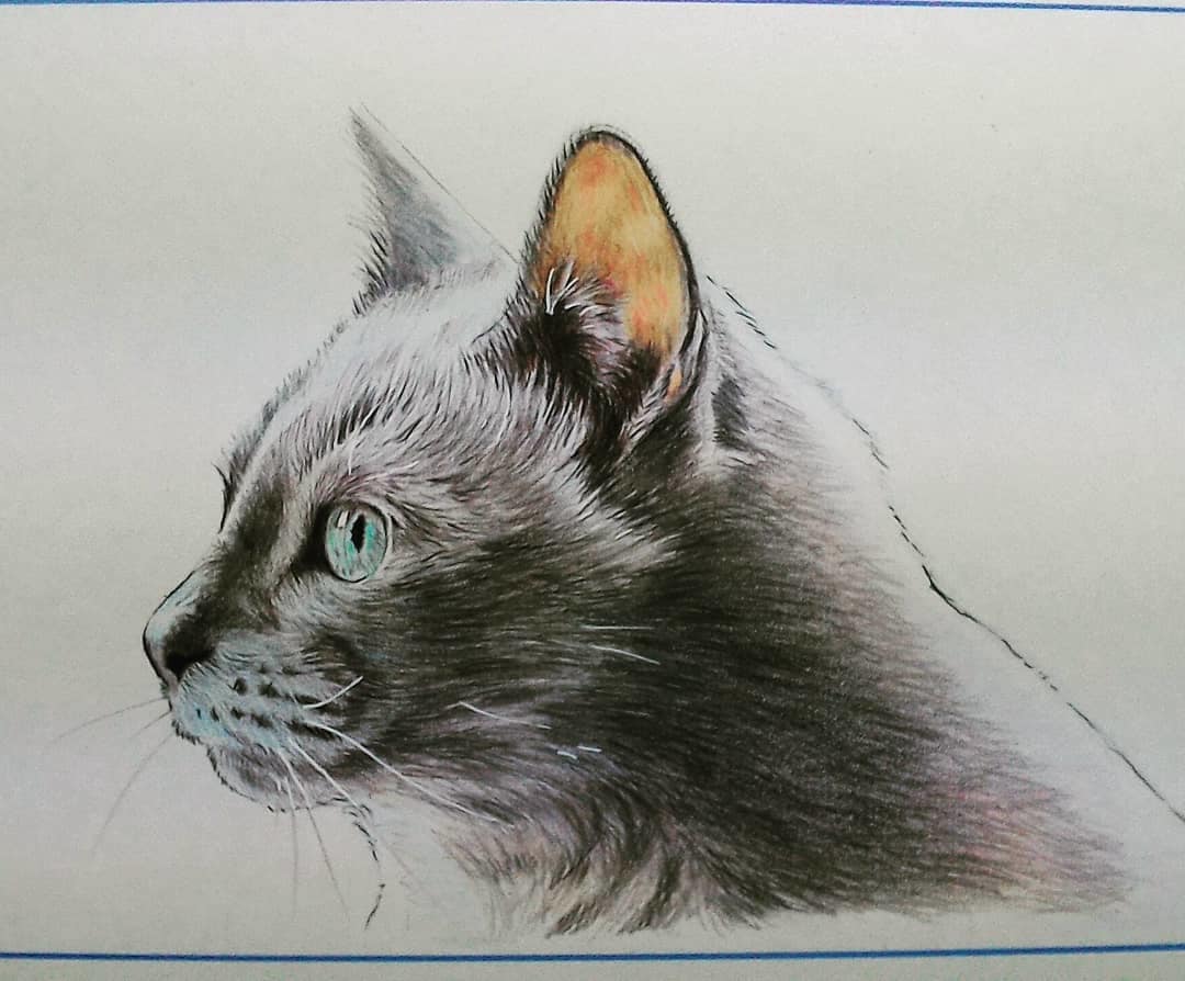 写真を素にペットの似顔絵を描きます 犬、猫、小鳥など、何でも描きます。 イメージ5