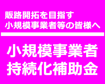 祝採択！小規模事業者持続化補助金申請書を販売します 楽天とShopifyの出店＆構築費用で採択済み申請書です！ イメージ3