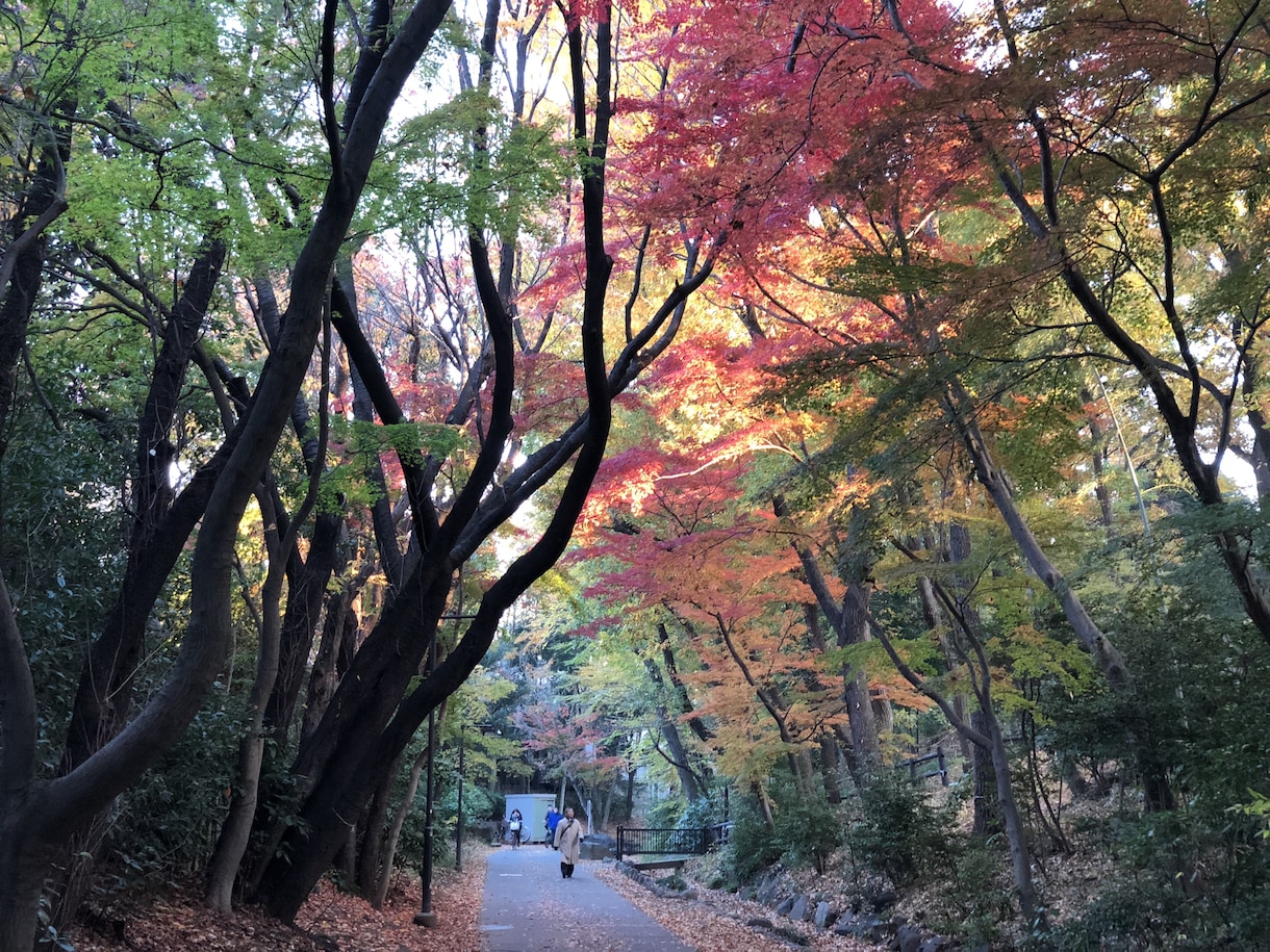 悩みや愚痴をどうぞ気軽に、待ってます いろいろ悩みや、言えない愚痴、他人に話したら楽になりますよ！ イメージ1