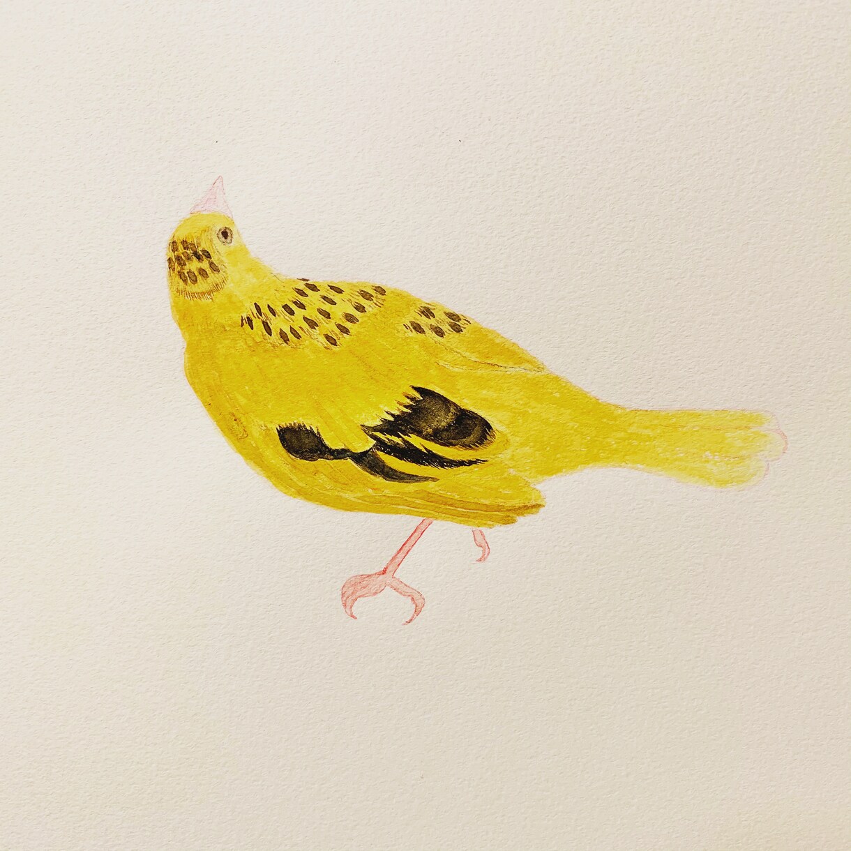 手書きイラスト承ります 動物・植物など、まずはなんでもご相談どうぞ。着彩は水彩です。 イメージ1