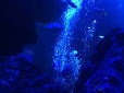 お客様の文章に、感想アドバイス等させていただきます あなたの大切な思いを確かな形へ。 イメージ1
