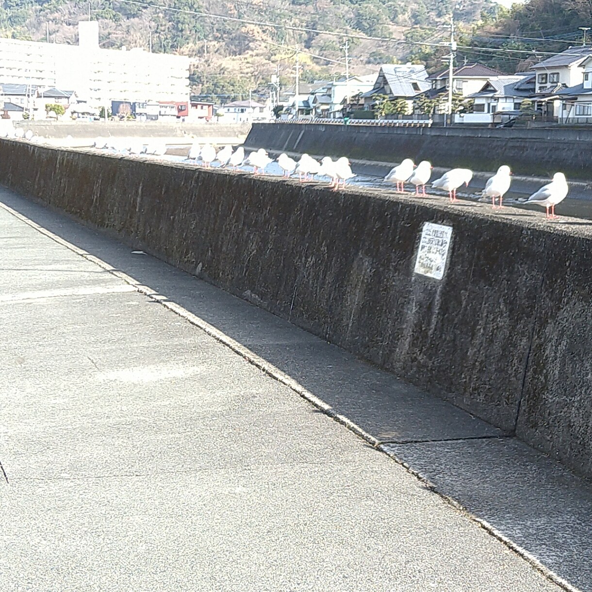 自分の感情がより相手に伝わる簡単魔法の方法教えます 気持ちが伝わったら嬉しいですよね。伝えるって大事ですよね。 イメージ3