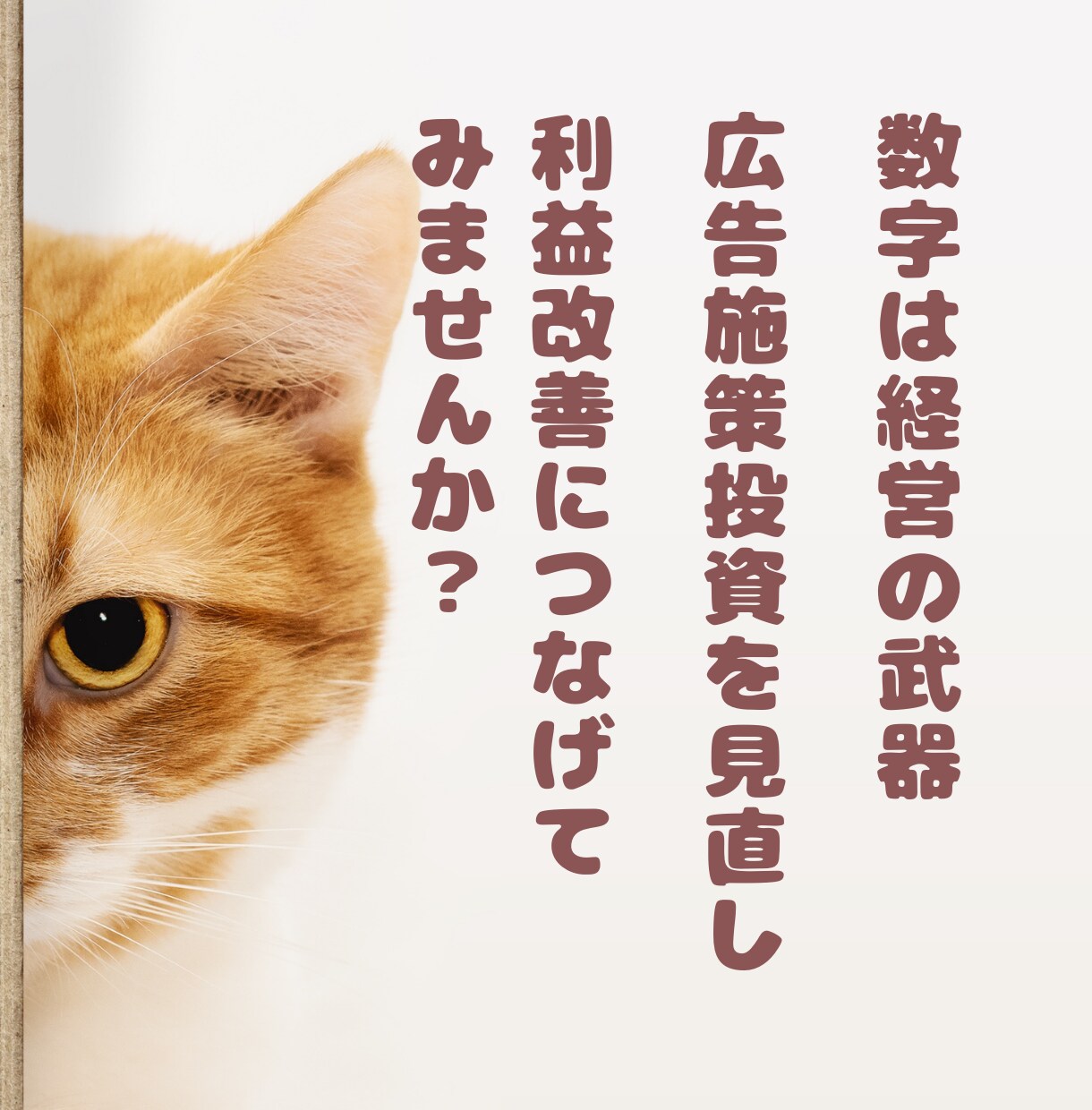 小規模宿向け｜OTA広告の分析レポートを作成します 広告費と予約実績を整理し、経営判断に役立つレポートを作成★ イメージ8