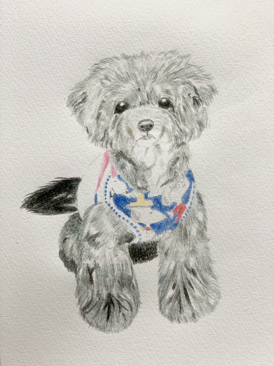 愛犬、愛猫の似顔絵描きます わんにゃんのケア、美容のプロが手がける真心込めた一枚を イメージ1