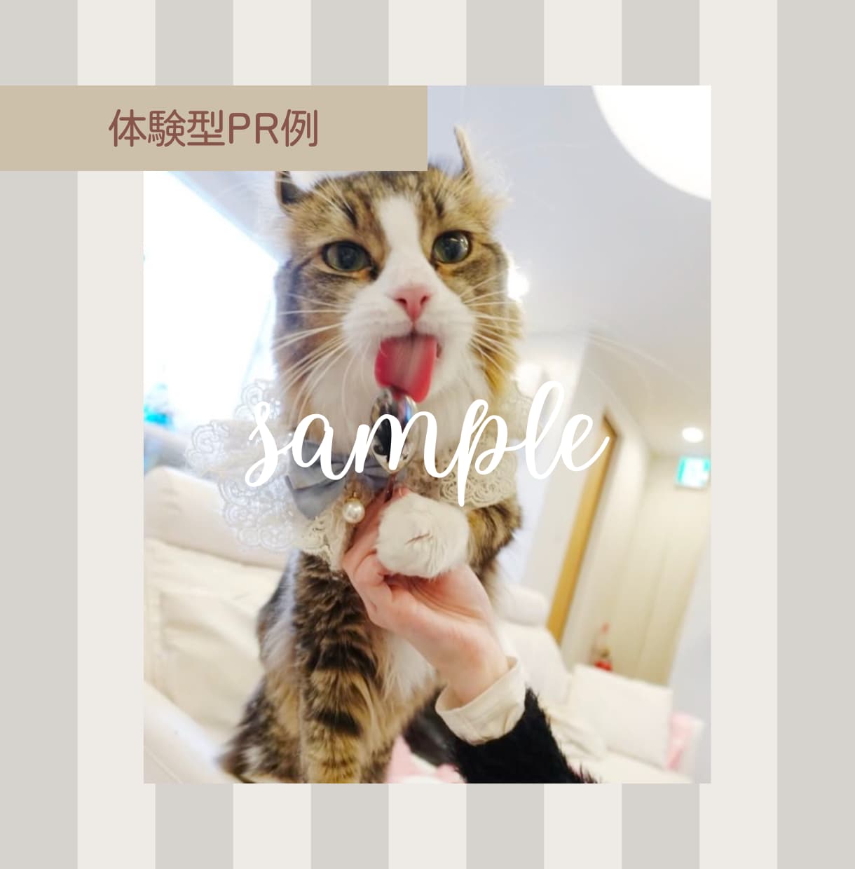 InstagramストーリーでPR投稿をします Instagramフォロワー1万人越え！柔らかい雰囲気が得意 イメージ2