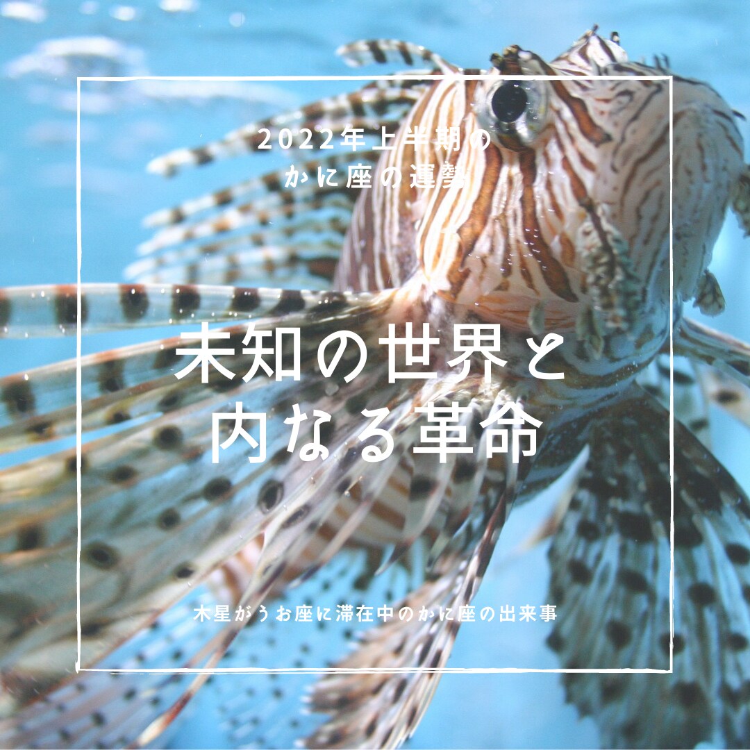 西洋占星術による2022年上半期の運勢をお渡します 時間のないあなたに、ブログやSNSなどに使用可能な運勢鑑定 イメージ5