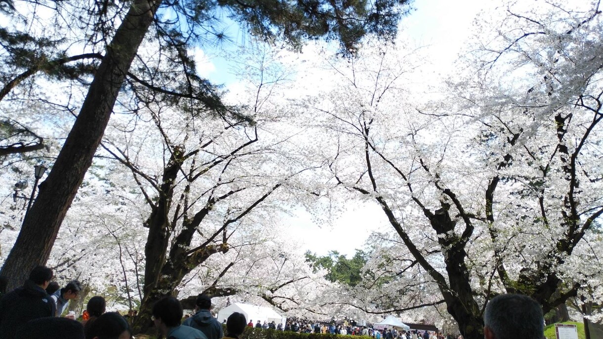 仕事の愚痴、転職退職相談、恋愛相談聞きます 誰にも相談できない。悩みを抱えて辛いなどなんでもOKです。 イメージ1
