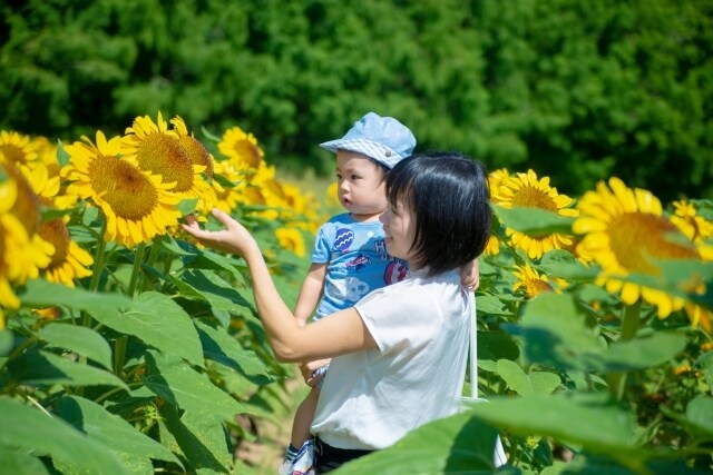 元内科医が、介護ストレス、つらい気持ちお伺いします 疲れた時、もう、いやだなぁと思った時、何でも話して下さい イメージ3