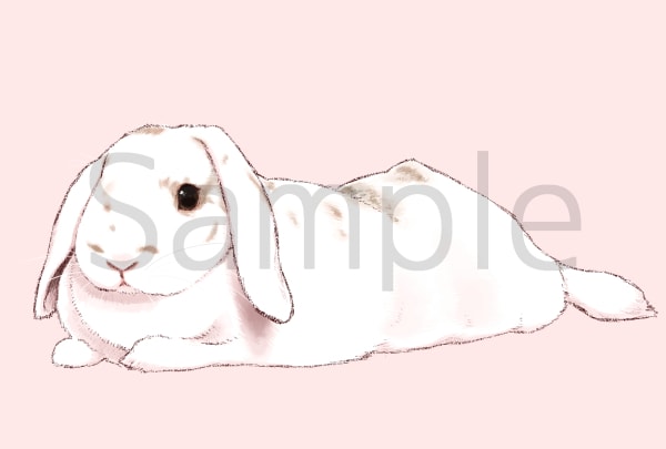 ペットのうさぎさんなど小動物描きます 【SNSのアイコン・壁紙・挿絵/お部屋のインテリアに】 イメージ7
