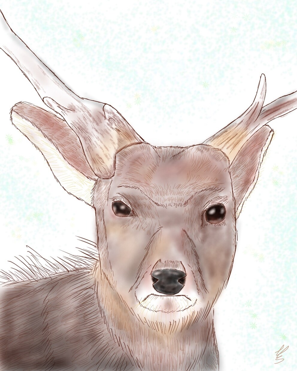写真をもとに温かみのあるペットイラスト制作します 「写真では残せない温かさをイラストで。」 イメージ4