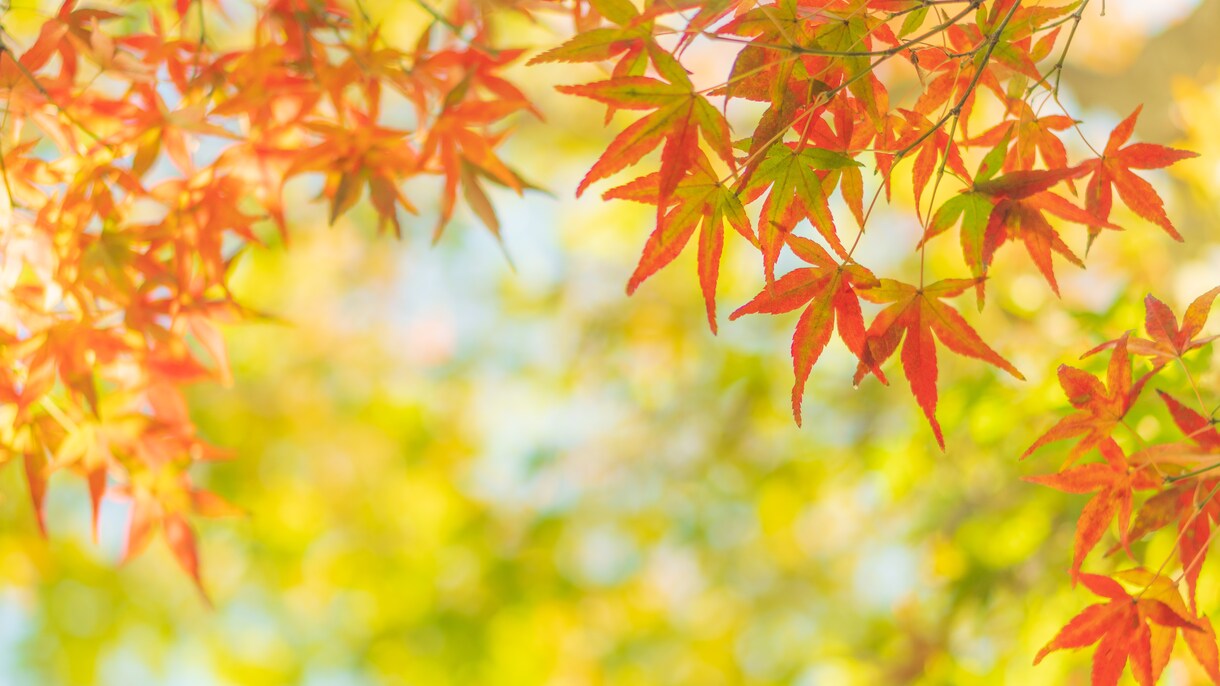 悩み事、愚痴、相談等何でも話し相手になります 嫌なことはさっさと吐き出して楽になりましょう イメージ1