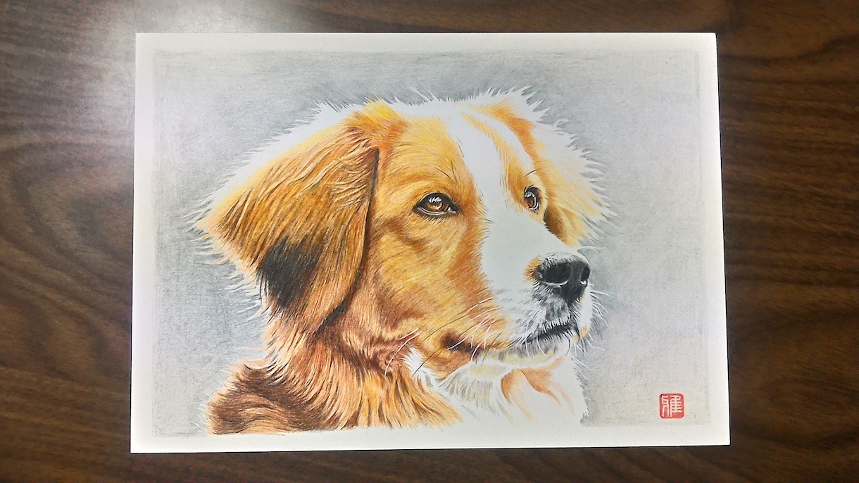 写真をもとにペットの似顔絵描きます 犬、猫、小鳥、人物など、そのほか何でも描きます。 イメージ7