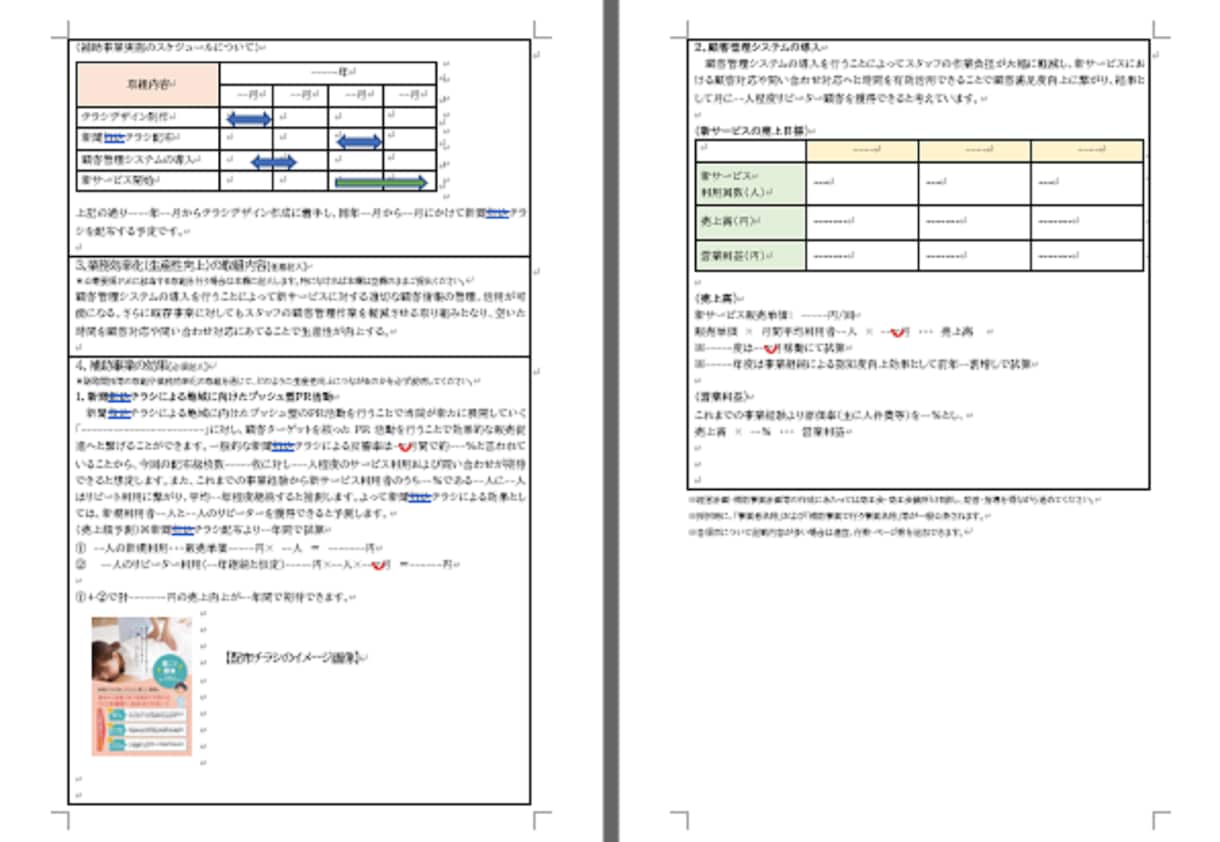 整骨院★持続化補助金採択書類をお譲りします 採択済みの事業計画書を【テンプレート】としても利用できます！ イメージ5