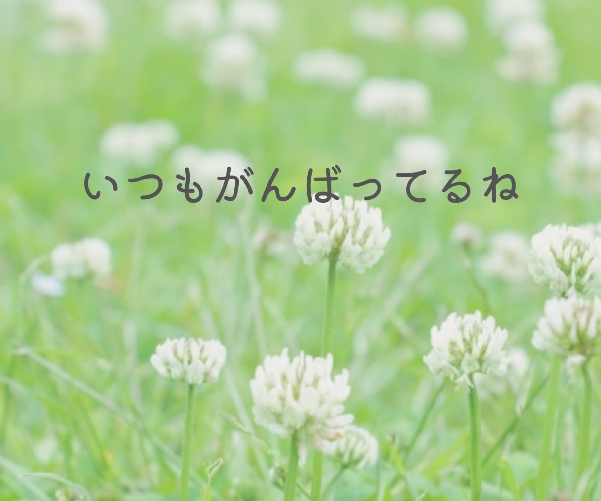 初めての電話相談にも 今すぐ お聞きします 【女性友だちとしてお気軽に】愚痴 人間関係 不倫 女心 イメージ2
