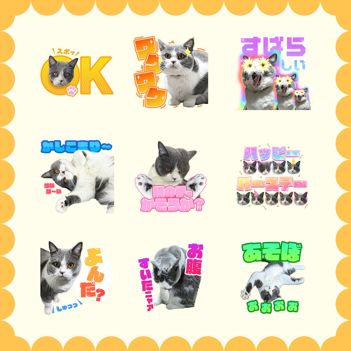 動物LINEスタンプ作ります あなたの愛犬・愛猫がスタンプに！POPで可愛く作ります！ イメージ2