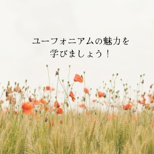 初心者向け！ユーフォニアムの吹き方を教えます 音楽大学卒業者が一緒に楽器を吹いて教えます！ イメージ1