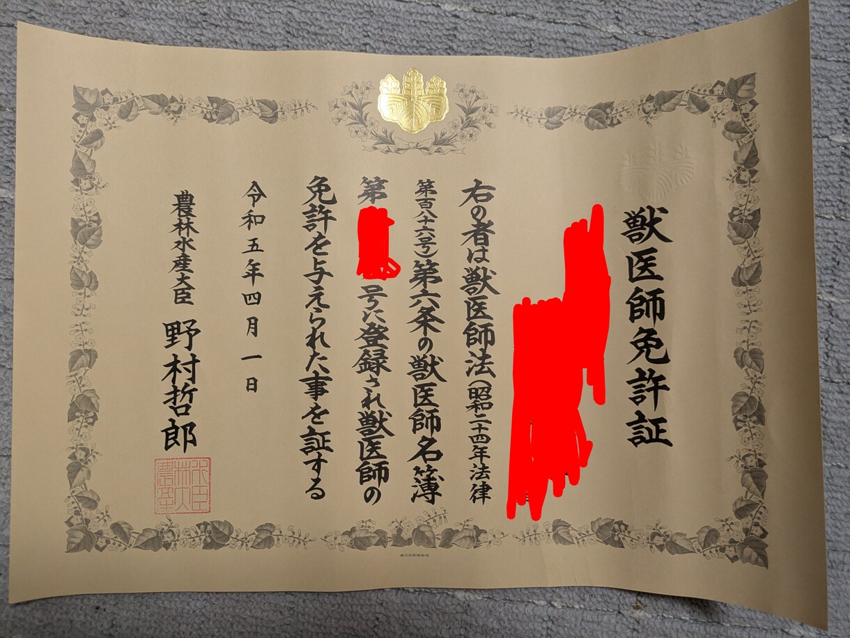 飼い主さん向け：体調・治療方針相談のります ー現役獣医師がペットの体調や治療方針をやさしく解説ー イメージ2