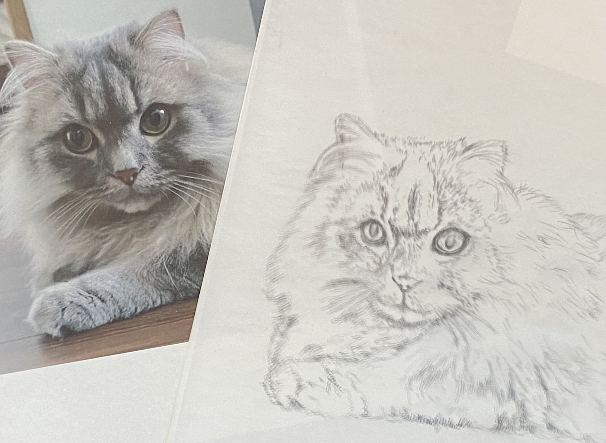 愛犬・愛猫を色鉛筆またはデジタルでリアルに描きます ペットとの思い出をあったかい似顔絵でお手元に イメージ6