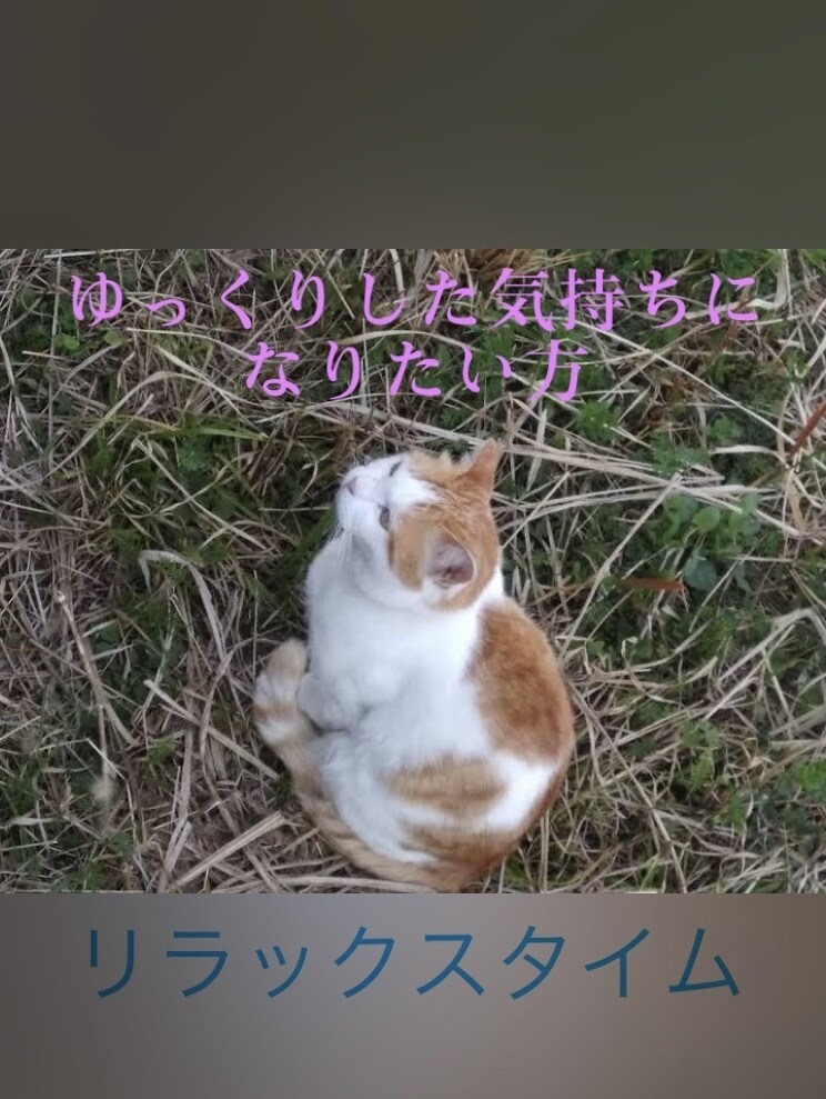どんなテンションでも対応致します モヤモヤ！イライラ！愚痴、泣き言、優しくお聴き致します。 イメージ3