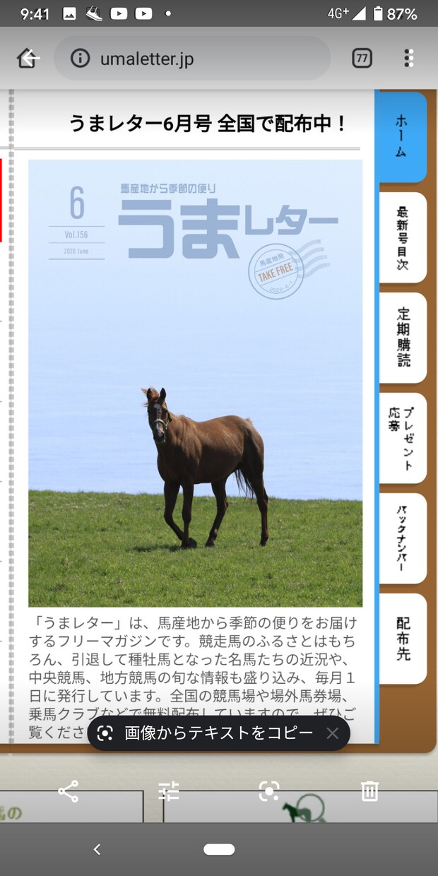 地方競馬中央競馬の予想を提供します あらゆる予想方法を取り入れて予想します。 イメージ1