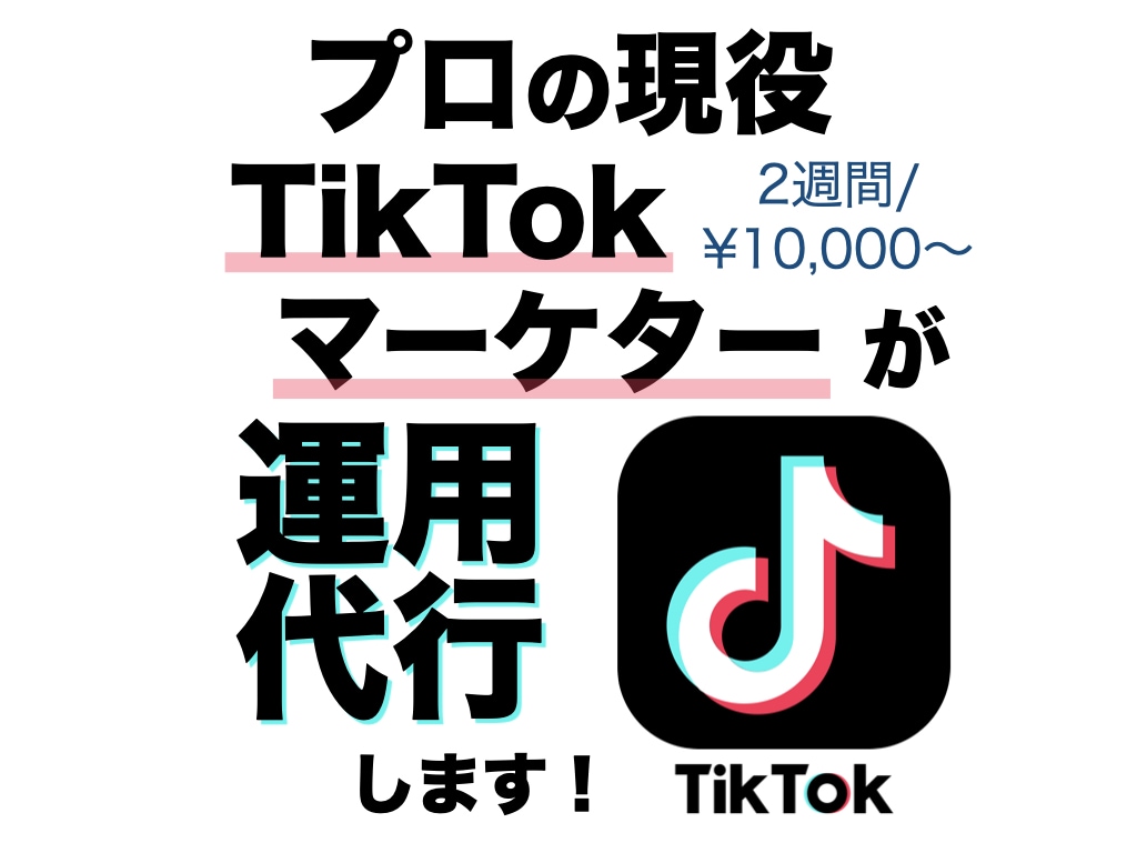 プロSNSマーケターが TikTok運用代行します プロにコンサル、企画提案、分析、動画編集までマルっとお任せ！ イメージ1