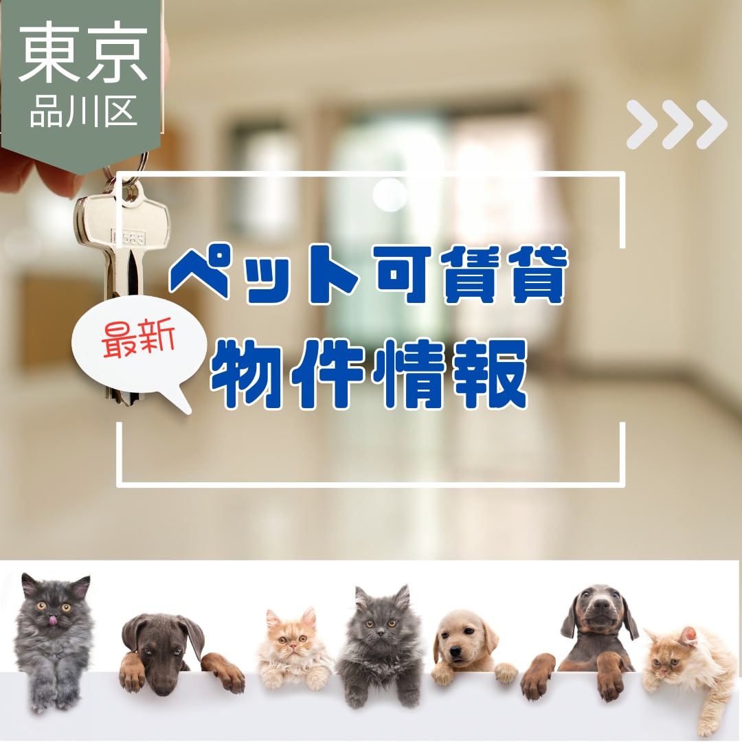 格安でインスタの投稿記事＆リール作成、投稿します 画像投稿3記事2,500円、リール3500円です イメージ3