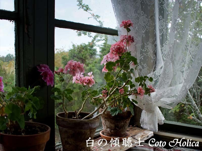 お話をぽつりぽつりとお伺いします 窓辺のソファで温かい飲み物をいただきながら イメージ7