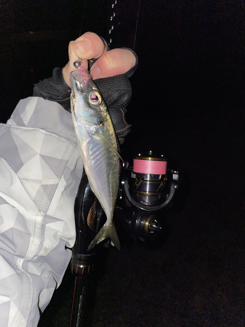 釣ります 初心者の方に優しく海釣りの楽しさを知ってもらう。 イメージ1