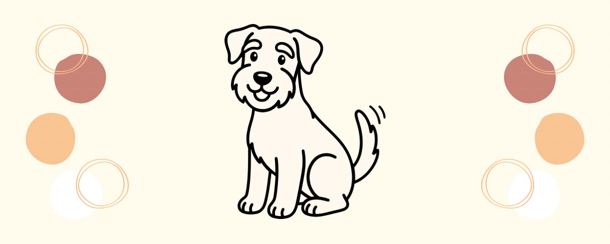 犬・猫の日常ケアや不安を動物看護師が伺います ペットとの暮らしの悩みを一緒に整理します イメージ1