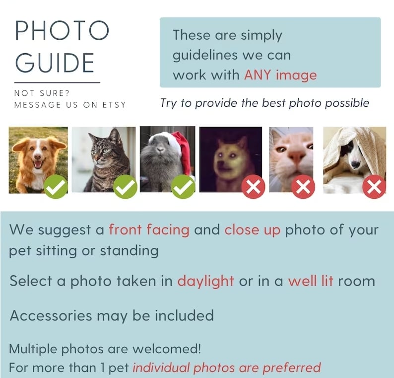 ペット写真を使ったカスタムペットイラスト描きます ペット写真を使ったカスタムペットイラストデジタル犬猫イラスト イメージ7