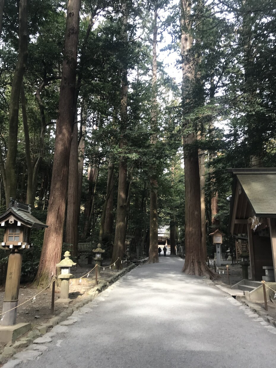 11月16日縁結びお相手に本心を伝えます 縁結び神社からエネルギーワークを使ってご縁結びします。 イメージ3
