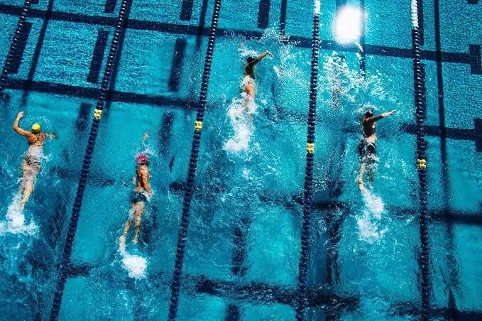 水泳のメニューを作ります 競技力向上から健康維持、促進まで イメージ1