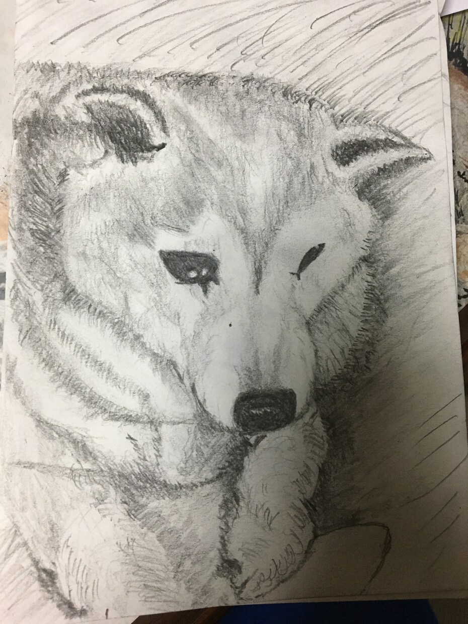 鉛筆でお犬さんを描きます お犬さんの思い出の写真を鉛筆画にいたします。 イメージ8