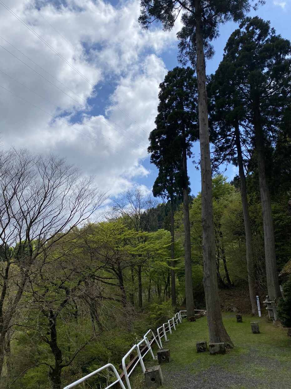 今、恋に悩んでる方のサポートを全力でします 恋の魔法で悩んでる事を一緒に考え解決して行きましょう イメージ4
