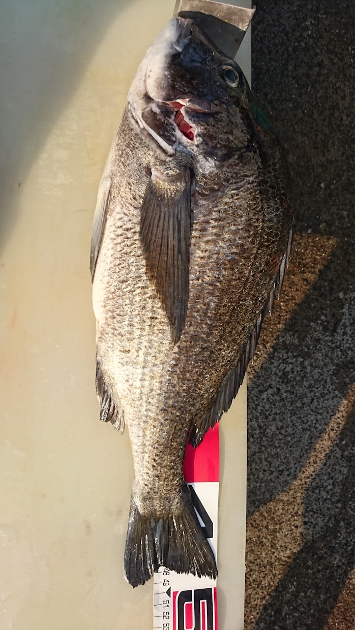 魚釣りを初めてみたいかた相談にのります 魚釣りやゴムボートフィッシング始めたいかた相談のります イメージ2