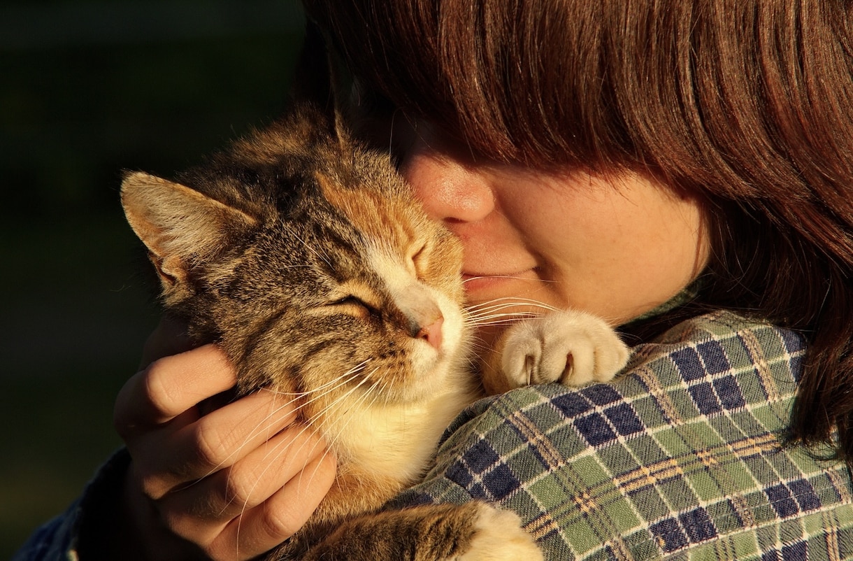 あなたの家族であるペットの声をお届けします 何を考えているのか少しでも知れたら良いなと思いませんか？ イメージ2
