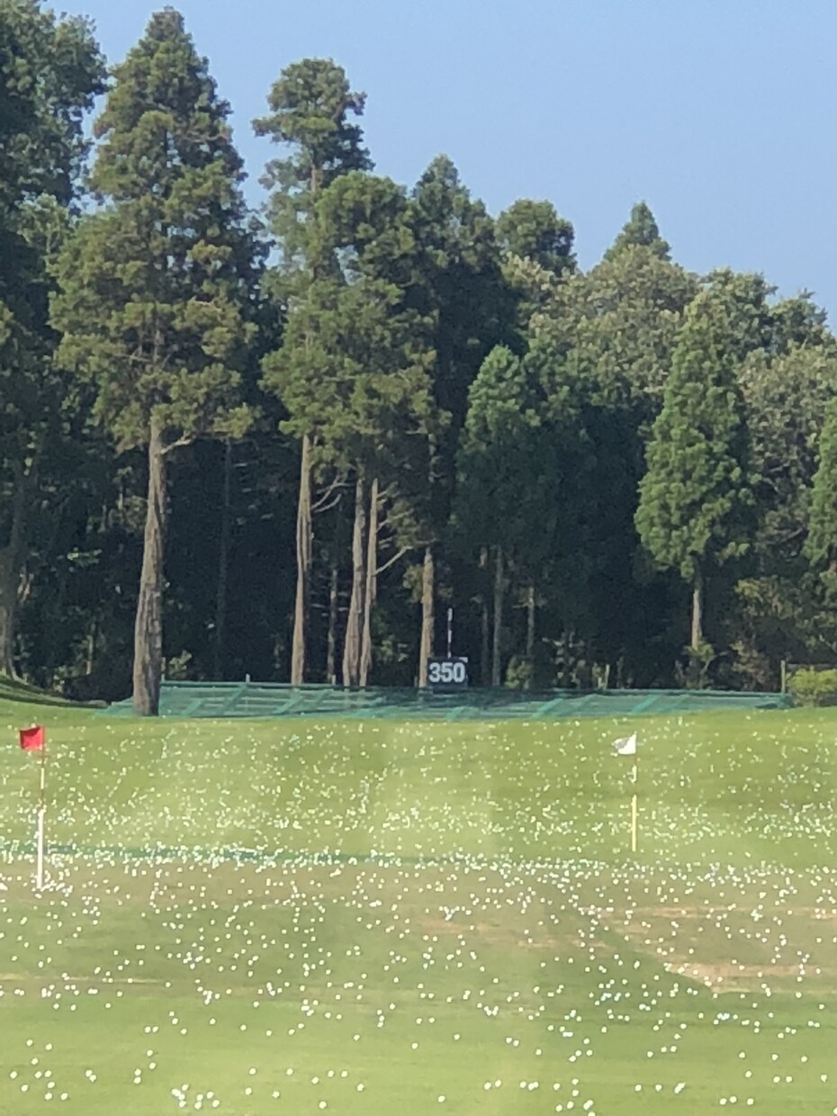ゴルフ⛳️でお悩みの方！解決します アマチュアの方のお悩み解決します！ イメージ2
