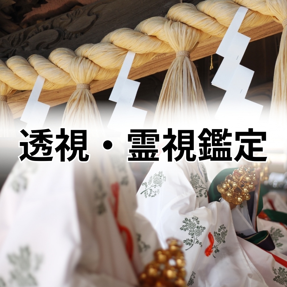 潜在能力 才能を引き出し開花させます 眠った能力を覚まさせて才能を引き出し明るい未来に導きます イメージ7