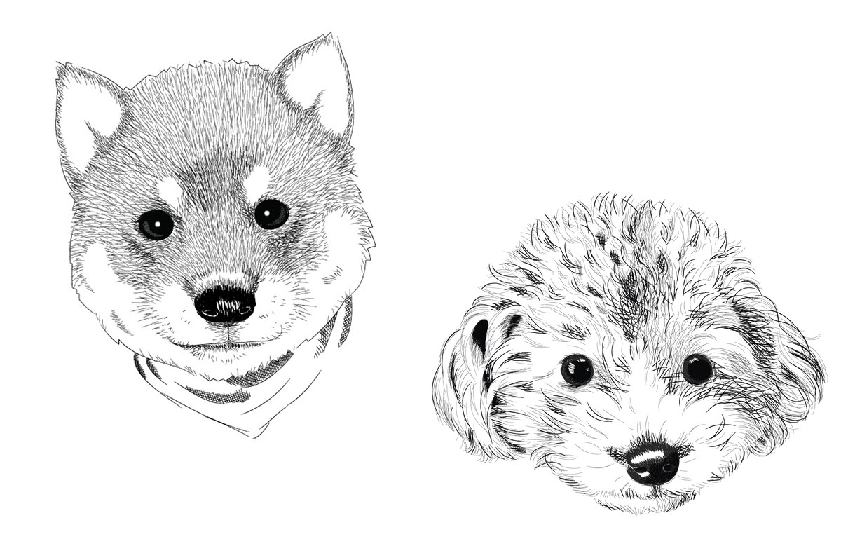 あなたのペットイラストを作成致します シンプルなものからリアルなものまで可愛く描きます！ イメージ4