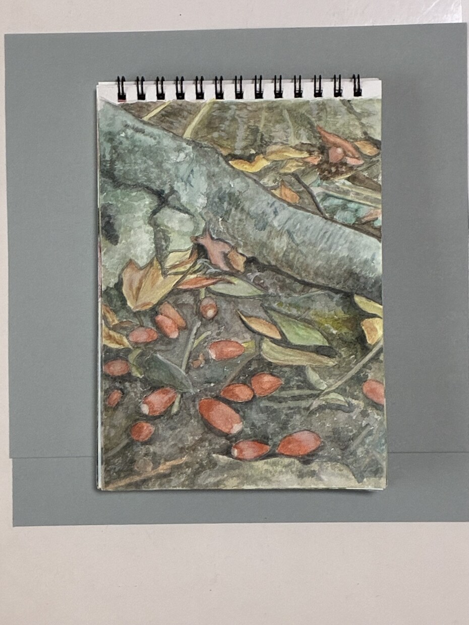 貴方の思い出を絵にしますます 手描きで画用紙に水彩　色鉛筆　ペンで描きます イメージ3