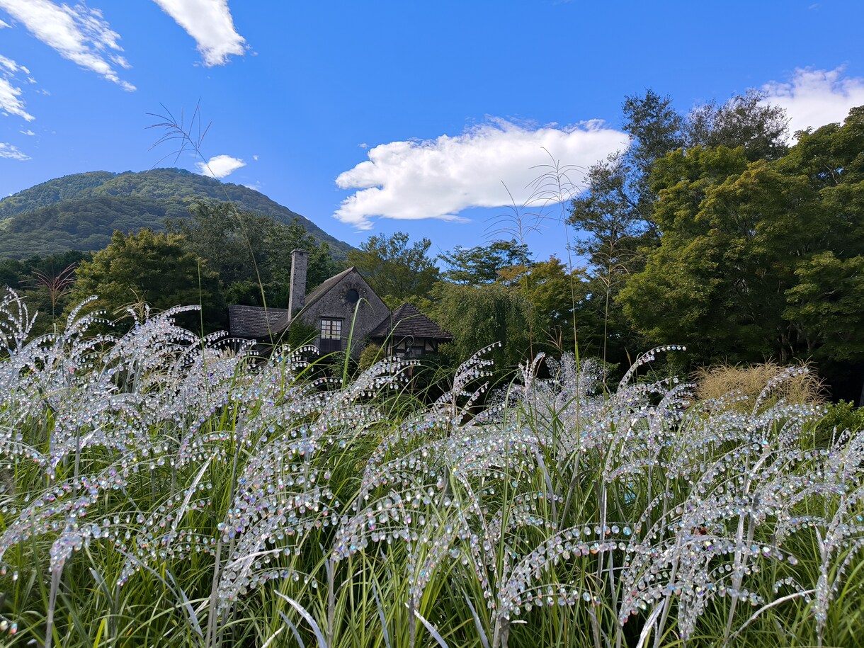 惚気（のろけ）聞きます 身近な人には言いにくい惚気聞きます！好きなだけ話してください イメージ5
