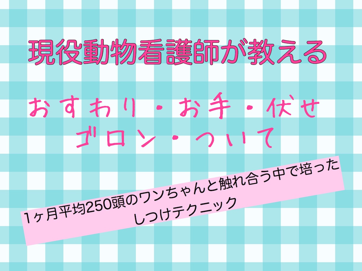 4つのステップで天才犬。しつけの方法教えます 超簡単！他の芸にも応用できるお座り伏せ等の教えさせ方 イメージ1