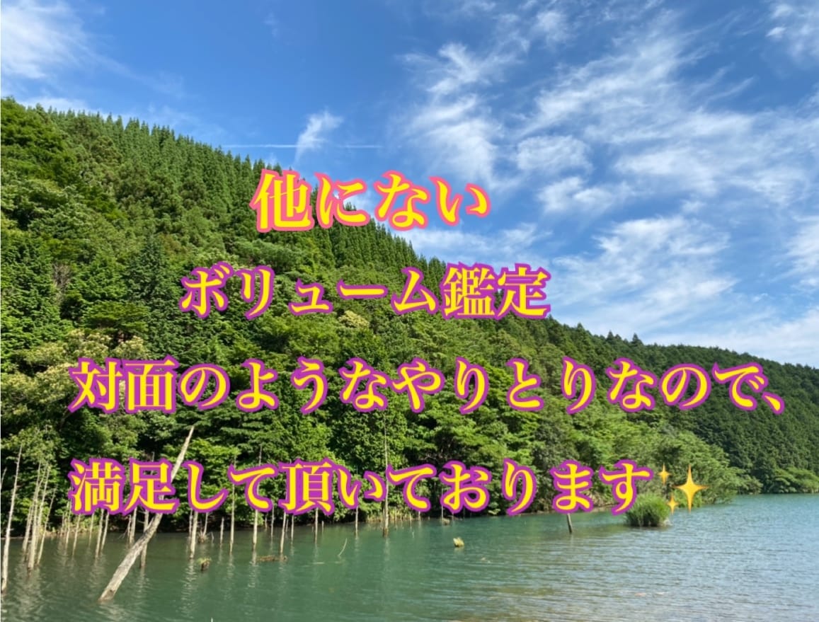 ボリュームあり最短1日で対面鑑定のような占います 他にない鑑定で満足頂ける鑑定を心がけております イメージ2