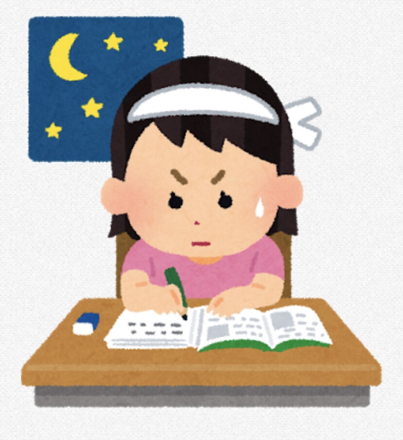ビデオチャットで小~高校生の勉強(方法も)教えます 現役医学生・塾講師がビデオチャットで英数国化生地理を解説！ イメージ1