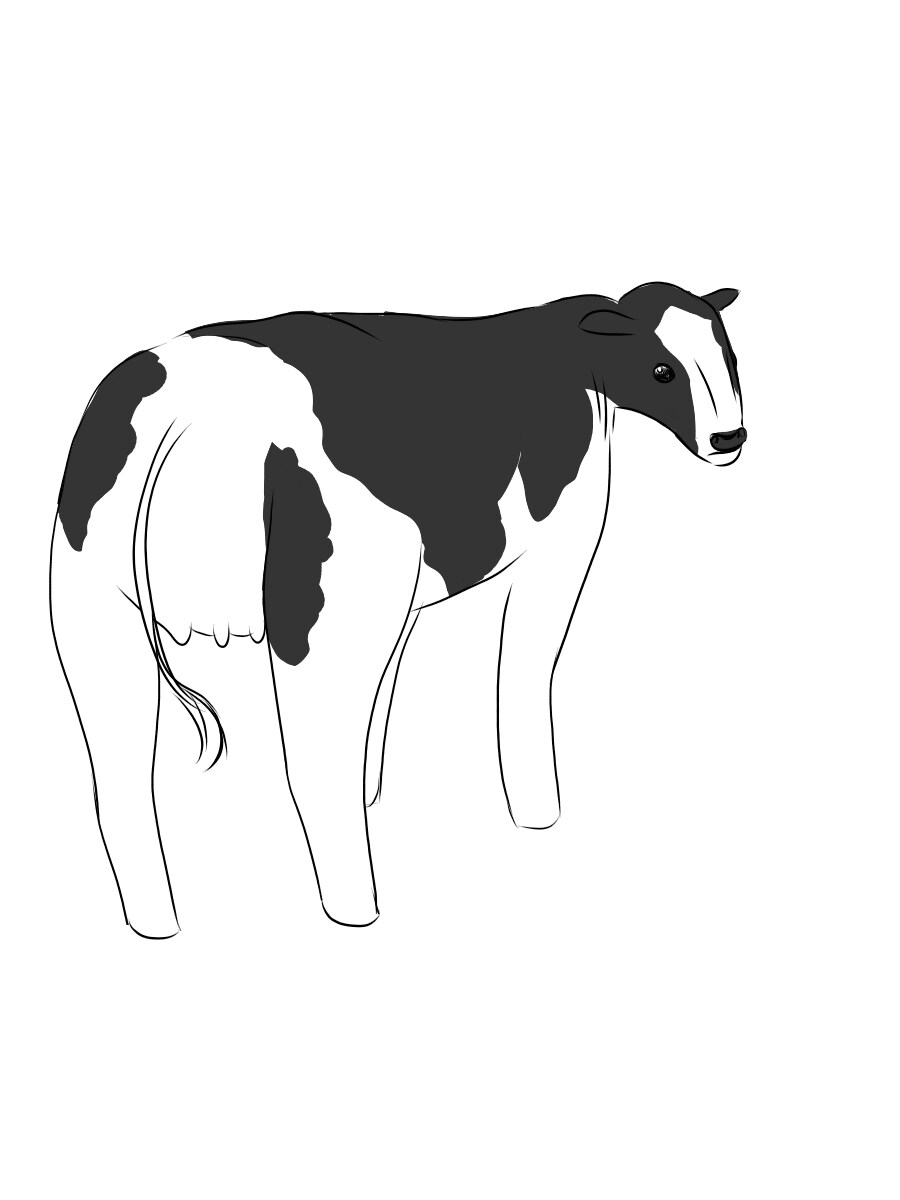 可愛らしい食べ物の絵や緩い動物の絵を提供できます 緩いキャラやクセのある絵や二頭身ならおまかせ イメージ3