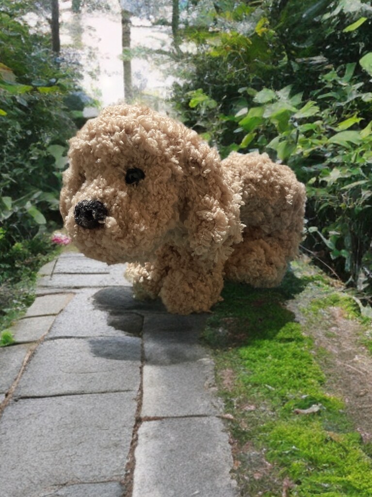 写真から羊毛フェルト犬を制作します 練習価格でお作りします（モニター） イメージ4
