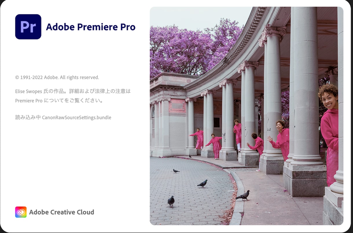 初めての動画編集、わかりやすくレクチャーします ADOBE Premiere Pro の基本的な使い方 イメージ1