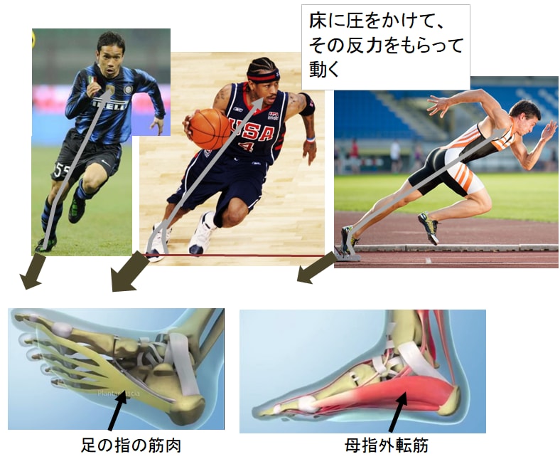 次世代トレーニング「反力トレーニング」を教えます スポーツ障害予防を10年以上研究してうみ出されたトレーニング イメージ3